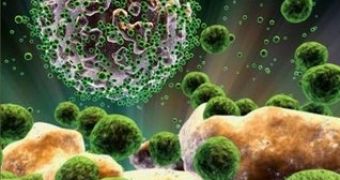 Immunosuppressive viruses still prove impervious to state-of-the-art treatments