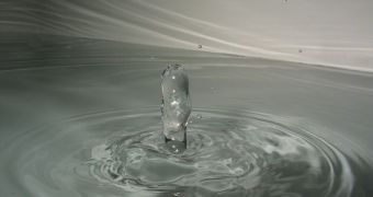 A water back-jet shooting upwards following an impact by a water drop