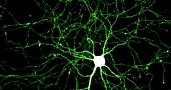 Under certain circumstances, we can control our own neurons