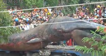 A giant creature being dug out of the ground and hoisted onto a truck in Vietnam