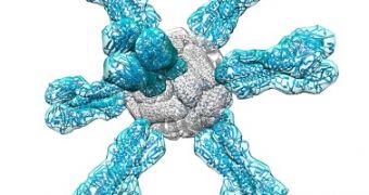 Universal Vaccine Promises to Tackle All Forms of Flu