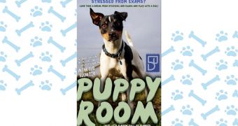 Puppy room is advertised on school Facebook page