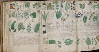 Unreadable Voynich Manuscript Contains Genuine Message, Is Not a Hoax