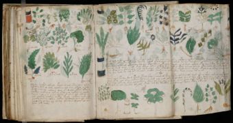 Professor claims to have partly decoded the Voynich manuscript
