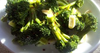 Researchers use plant hormone to create healthier broccoli