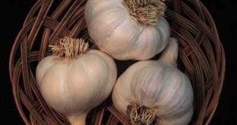 Garlic is a tasty seasoning, and a healthy one as well