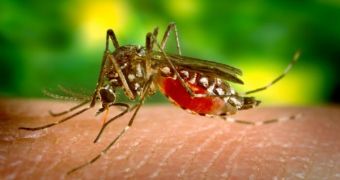 Using Bugs' Juvenile Hormone for Pesticides