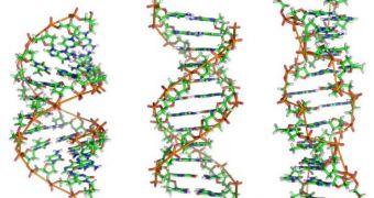 Various DNA types can purify certain "species" of carbon nanotubes out of solutions