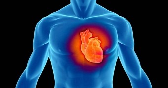 Stem Cells Could Repair and Regenerate Tissue Damaged by a Heart Attack
