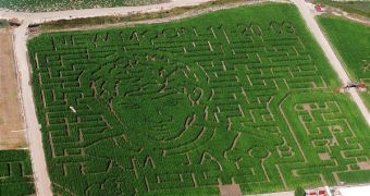 “New Moon” fans are expected in Utah to check out the dedicated corn maze (pictured here: Team Jacob maze)