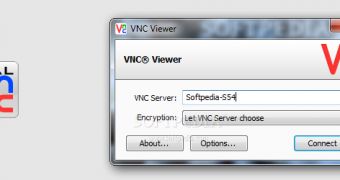 Mouse cursor snaps to a corner when exiting VNC Viewer window