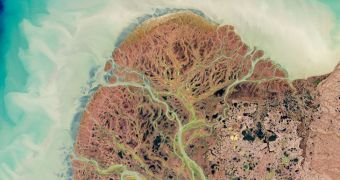 This is a portion of the large delta through which the Yukon River flows into the Bering Sea