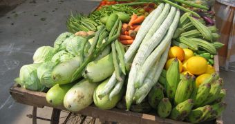 Vegetables and fruits protect against lung cancer
