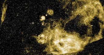 An optical wide field view of the Vela Supernova Remnant from the Southern H-Alpha Sky Survey Atlas