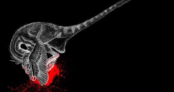 Velociraptors Used Their Claws Like Modern Birds Do