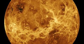Lifeforms may have developed in Venus' atmosphere, experts say