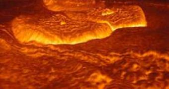 The sulphur dioxide in the atmosphere of Venus suggests volcanic activity on the planet