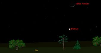 Venus and the Moon will remain in conjunction until the end of the week
