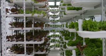 The high-tech greenhouse based on VertiCrop concept will be built in Vancouver at the beginning of next year