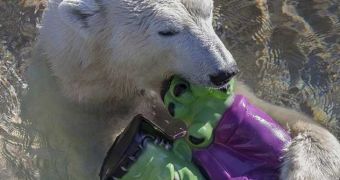 Vicious Polar Bear Tackles Frankenstein's Monster, Drowns It