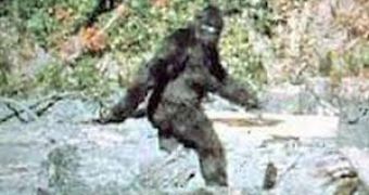 Victim of Bigfoot Hunt: Man Gets Shot in the Back by Accident