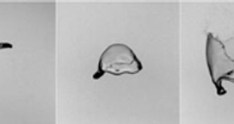 Step-by-step images showing how water droplets respond to air drag by employing the "exploding parachute" effect