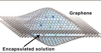 A diagram of how a platinum nanocrystal solution was encapsulated in two graphene sheets