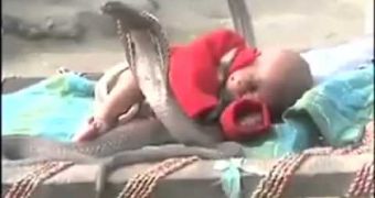 Baby is left with snakes