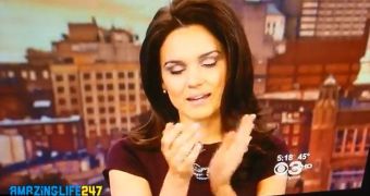Viral of the Day: CBS3 Hot Anchor and Weather Girl Hate Each Other on Camera
