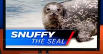 Viral of the Day: Snuffy the Seal’s Death by Shark Ad for Discovery