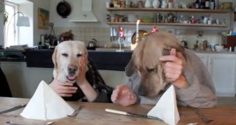 Viral of the Day: Two Dogs Have Dinner in Crowded Restaurant