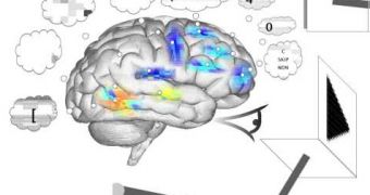 Spaun brain activity's illustration