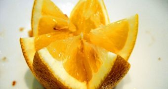Citrus fruits are a readily-available, inexpensive source of vitamin C