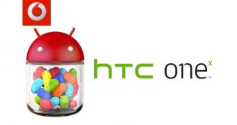 Android 4.1 Jelly Been logo