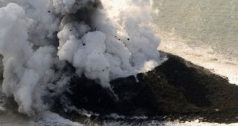 New volcanic island appears in the Ogasawara archipelago, Japan, on November 21, 2013