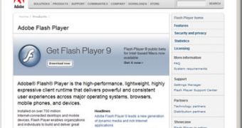 The official page of Adobe Flash Player