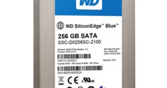 The consumer-aimed Western Digital SiliconEdge SSD