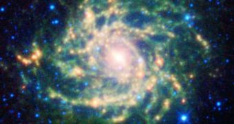 The new WISE image of the hidden galaxy IC 342
