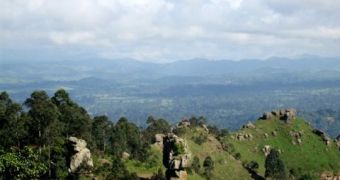 WWF exposes illegal mining operations in Cameroon