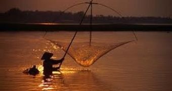 WWF warns how new dams on the Mekong River will affect local fish populations