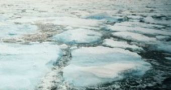 Warm Water Advances toward Arctic Alaska
