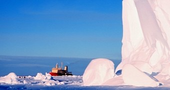 Warmer Weather Takes the Blame for Ice Shelf Collapse in Antarctica
