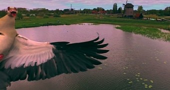 Vicious goose caught on film attacking defenseless drone