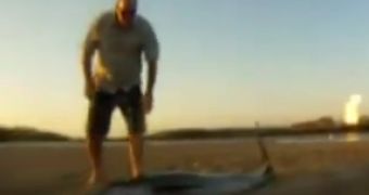 Watch: Beached Dolphin Is Rescued by Reporter in Australia
