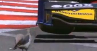 Watch: Bird Does Parkour, Dodges Formula 1 Car Speeding at 120 Mph (193 Km/h)