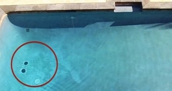 Video shows black circles forming at the bottom of a pool