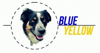 Dogs can register the colors blue and yellow