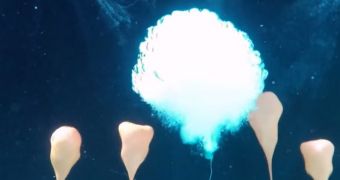 Dry ice bomb explodes underwater