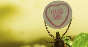 Video explains what a tick's life is all about