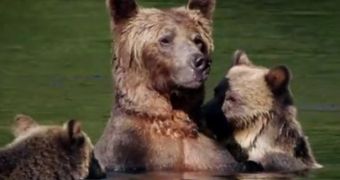 Watch: Featurette for Disneynature’s “Bears”